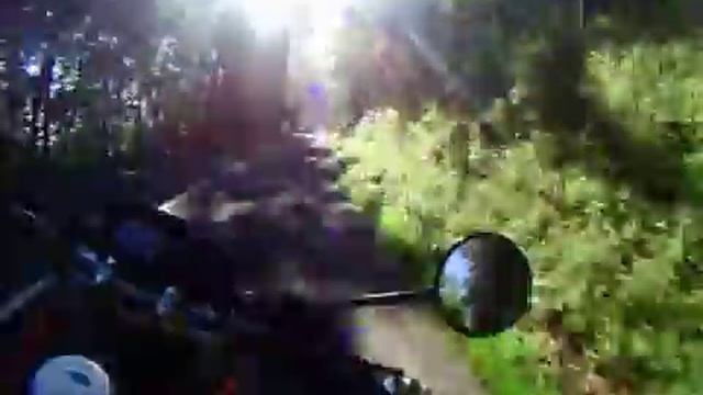 HONDA FMX 650 (2) смотреть онлайн