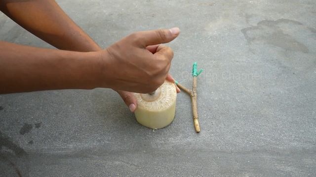 ?how to propagate java plum tree from cutting ?? смотреть онлайн