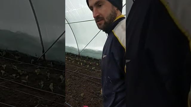 отопление в теплицах самый дешёвый вариант своими руками №1 смотреть онлайн