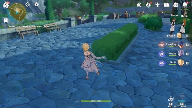 【Genshin Impact】Commission Quest Cleanup At Dawn II - Sweep up the pile of leaves смотреть онлайн
