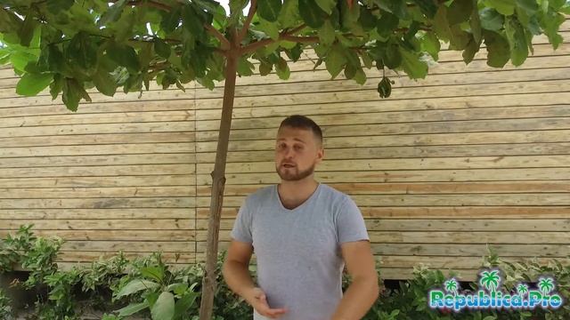 Какие экскурсии с детьми порекомендуете? смотреть онлайн