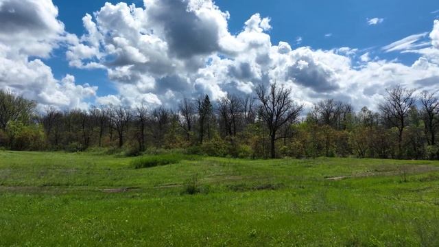 ASMR Прогулка по ЖИВОПИСНОМУ ЛЕСУ. 5K. Игра СВЕТА смотреть онлайн