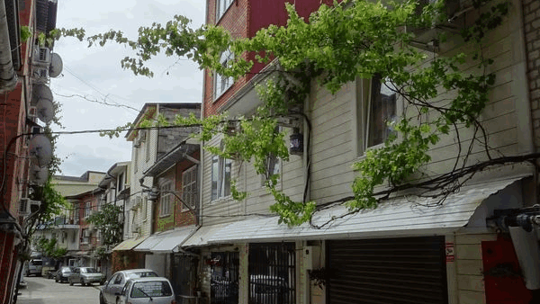 Новомихайловский жильё частный сектор. Отдых в Новомихайловском с детьми. «Наталья» ГОСТЕВОЙ ДОМ