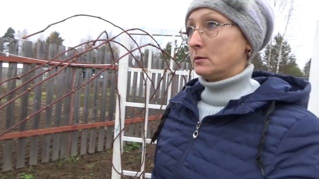 6 соток 31 октября. Сформировала карликовую яблоню. Обрезала виноград. Навозили песка. смотреть онлайн