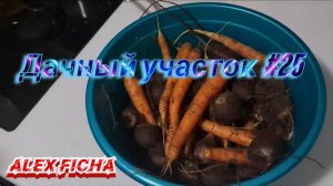 Дачный участок с нуля #25 Дискотека на даче