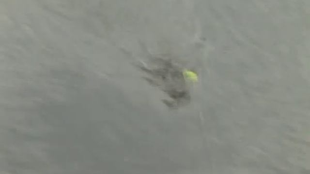 С ЗАГСа- на рыбалку! смотреть онлайн