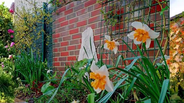 Дизайн частного сада. Как создать красивый дизайн двора частного дома? смотреть онлайн