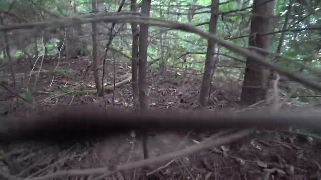 По грибы по ягоды. Пермский край. смотреть онлайн