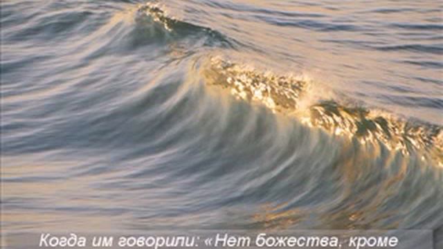 Салман аль Утайби الصافات 22 49) смотреть онлайн
