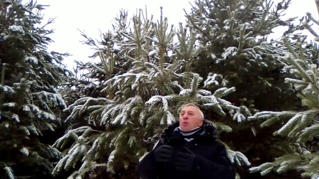 Е. Евтушенко "Идут белые снеги" смотреть онлайн