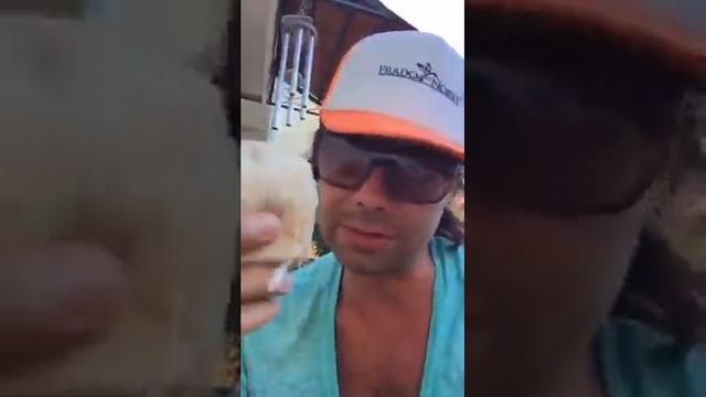 как раздолбить кокос 😂😂😂💥 смотреть онлайн