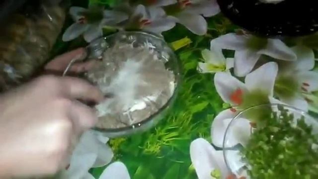 Салаты с Имбирем