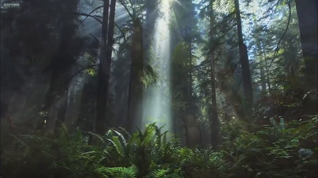 Сура Бакара смотреть онлайн