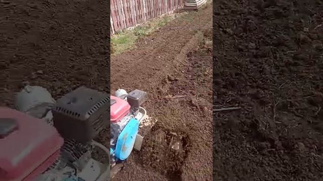 Лифан 6.5 л.с сам пашет .ширина 1 м. смотреть онлайн