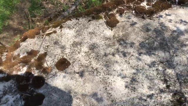 Экскурсия по форту Шанец. 5 часть. 2021. ТМД. смотреть онлайн