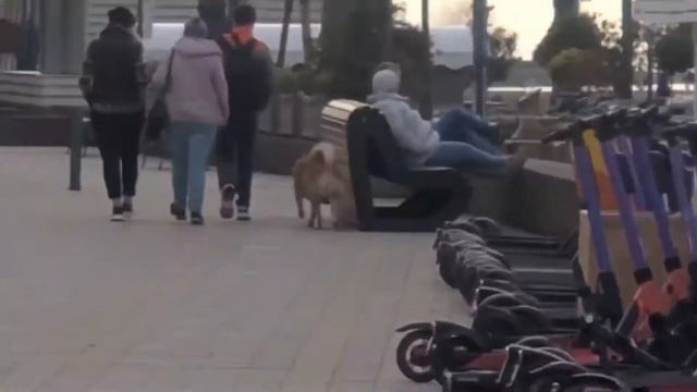 ПОЕХАЛА В АДЛЕР ОДНА! СПОРТКАРЫ, ЧУРЧХЕЛА И ВОДОПАДЫ смотреть онлайн