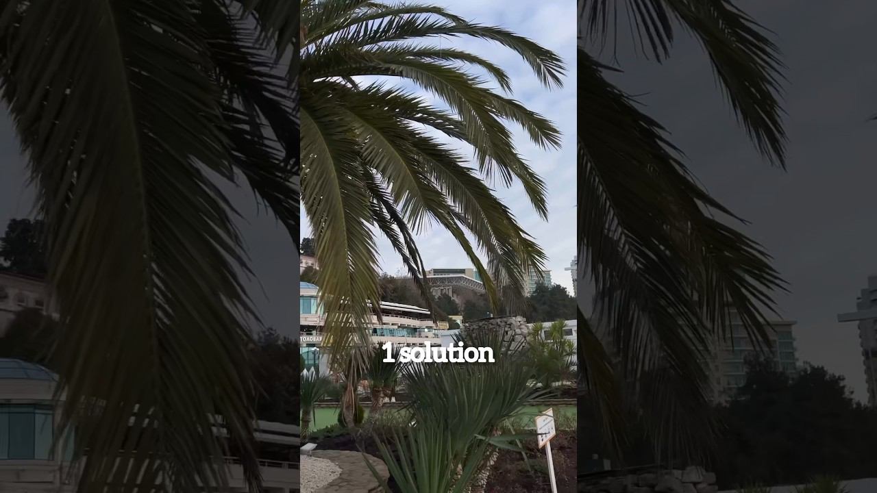 когда есть 99 проблем,то всегда появляется одно верное решение✈️ #самолеты #влог #сочи #wildberries смотреть онлайн