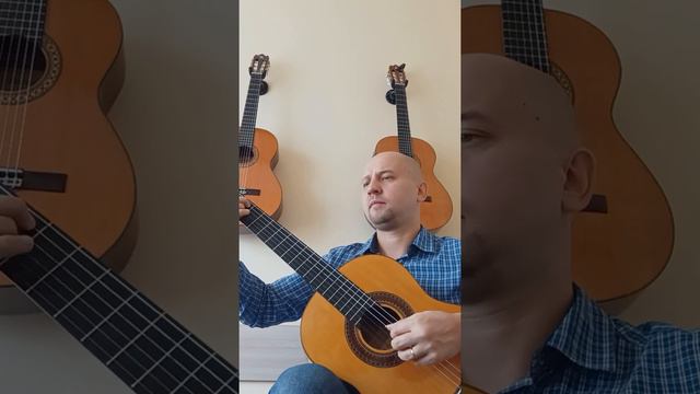 Ф.Таррега - прелюдия "Слеза". исп. Илья Самойлов г. Ижевск смотреть онлайн
