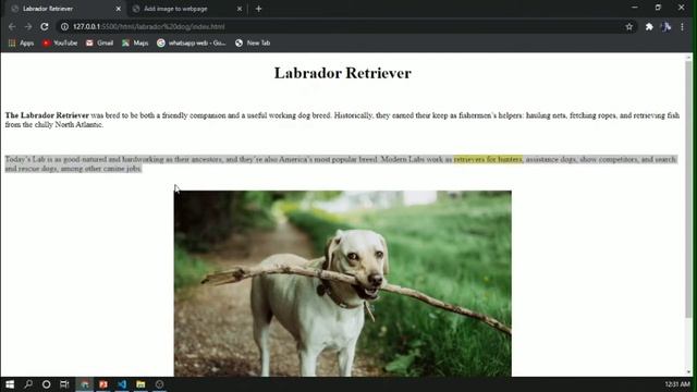 12. How to center an image with single line of code in HTML | learn HTML by Rishabh Rawat смотреть онлайн