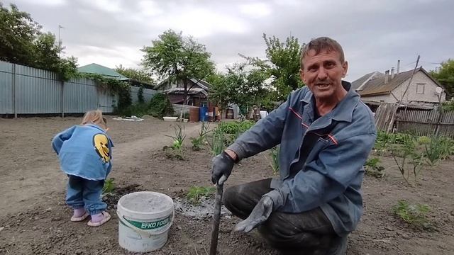 Ответы на вопросы и Древесная зола !? смотреть онлайн