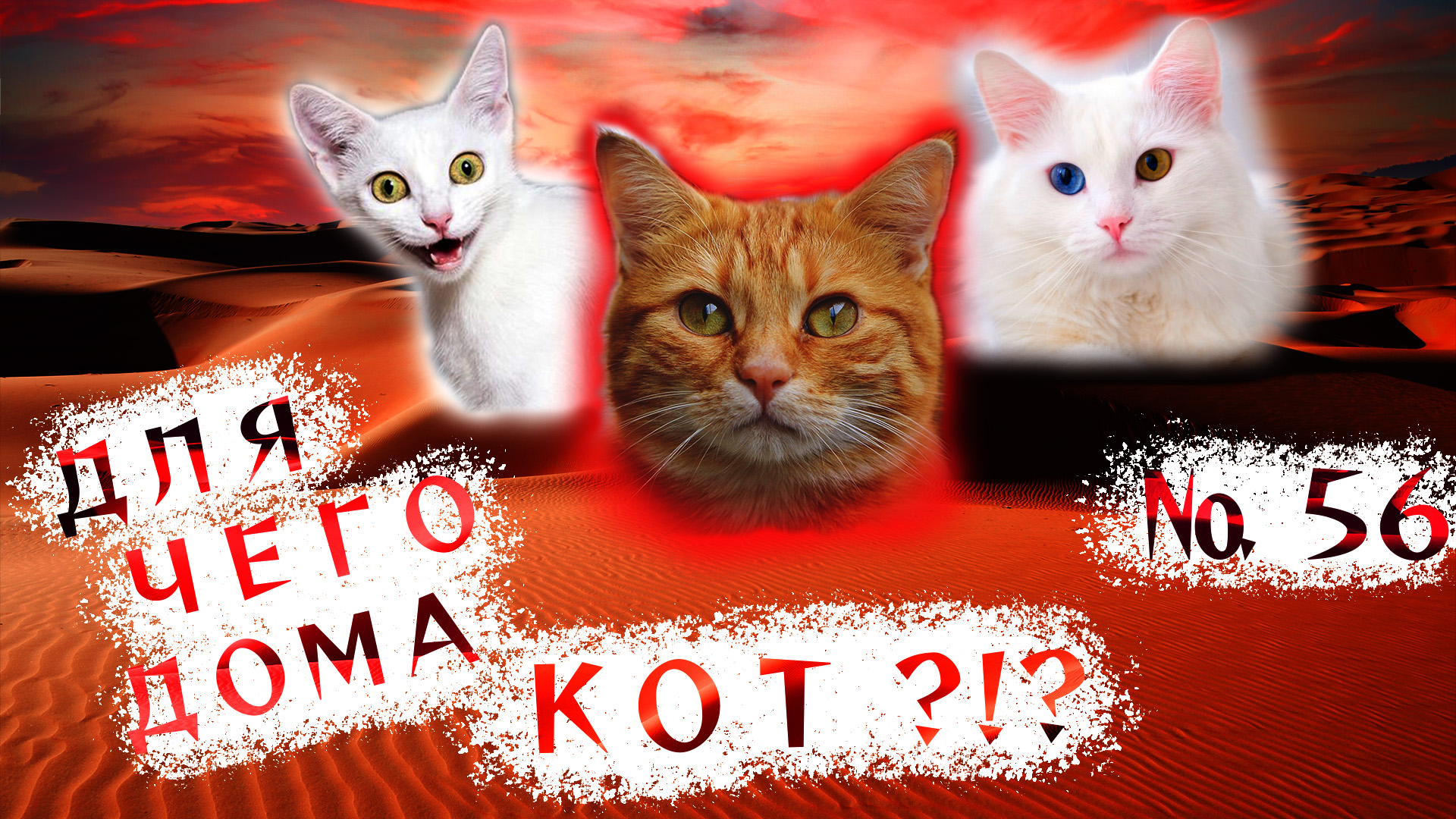 Вот зачем дома НУЖЕН КОТ!!! ?(56). смотреть онлайн