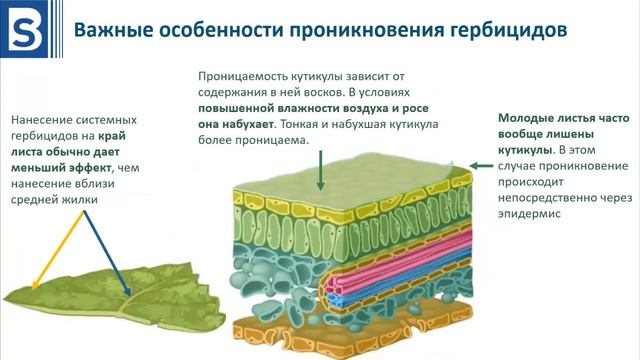 Курс Гербициды. Урок 1 смотреть онлайн