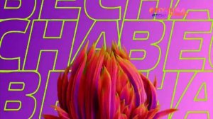 Весеннее оформление канала "Музыка Первого" (01.03.2023 - 31.05.2023)