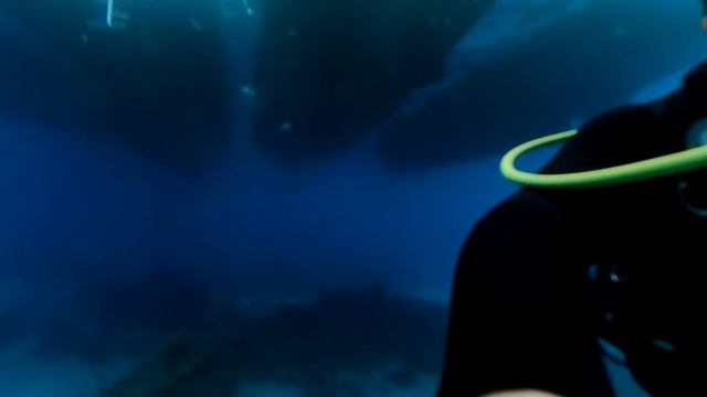 египет шарм-эль-шейх, дайвинг 360VR смотреть онлайн