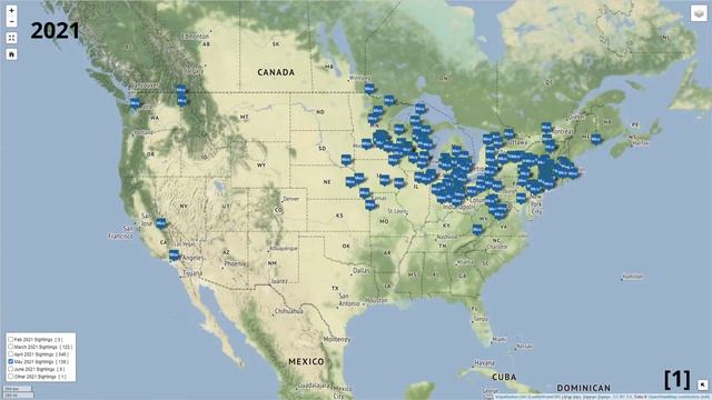 The Morel Hunt or Where to find morels in the US? смотреть онлайн