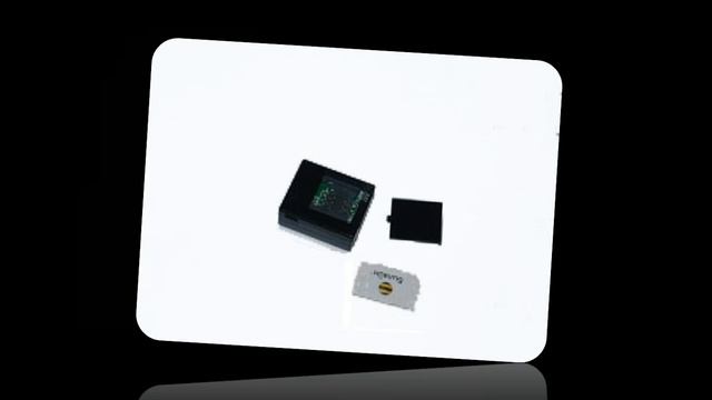 ТОП-3 самых маленьких жучков смотреть онлайн