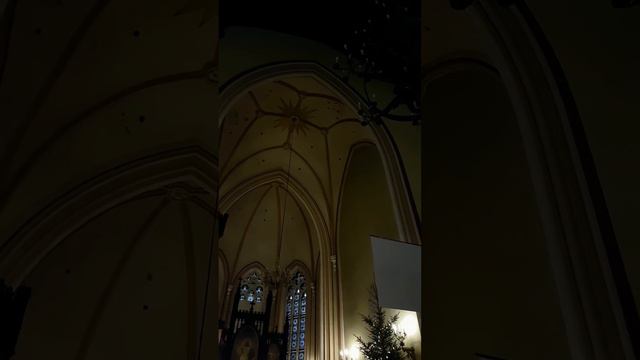 Орган в церкви Святого Павла в Риге смотреть онлайн