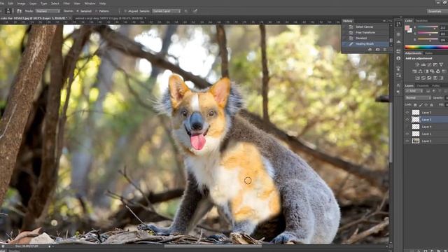 The making of Corgala - a Photoshopped hybrid animal смотреть онлайн