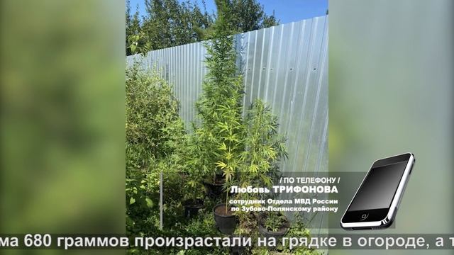 "Агроном" со стажем | "Agronomist" with experience смотреть онлайн