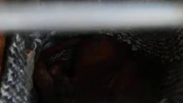 Бельчата спят в гнезде. смотреть онлайн