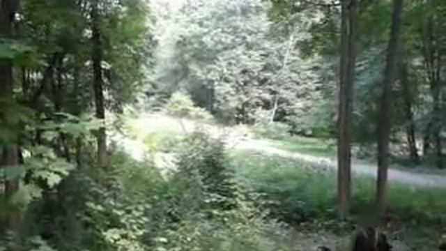 "Щит и меч" 25 июня 2016 в музее деревянного зодчества "Щелоковский хутор"-2 смотреть онлайн