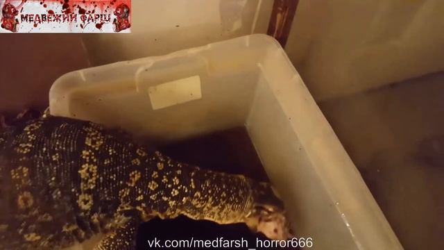 Заечка кушает смотреть онлайн