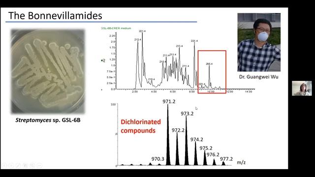 Unprecedented Microbes from Great Salt Lake With Dr. Jackie Winter смотреть онлайн