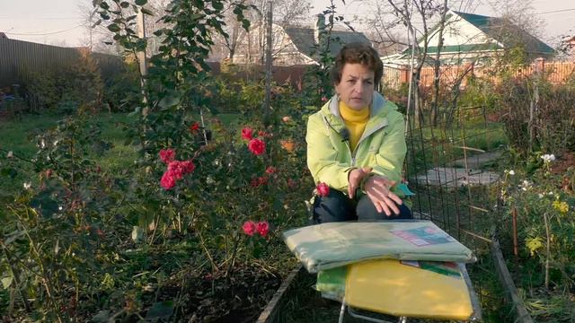 Укрываем розы материалом СПАНГРАМ смотреть онлайн