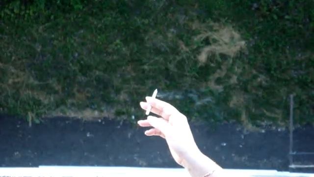 Уфа, Ад.Ушакова 70. хрю-хрю смотреть онлайн