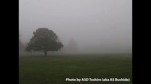 ASD Toshiro - Being True to Myself смотреть онлайн