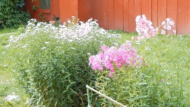 Уходящее лето смотреть онлайн