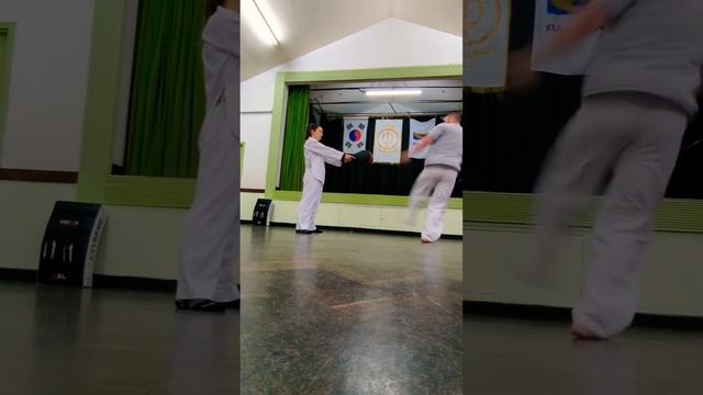 How to Break Ribs in a Fight - Master Luke Robinson #martialarts #taekwondo #fighting #howto смотреть онлайн