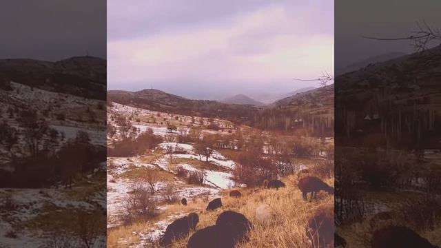 Selçuk Anık Karakoçan Çelebi Köyü смотреть онлайн