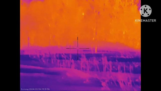 Теплоприцел Sytong am-03. Немного видео с природы смотреть онлайн