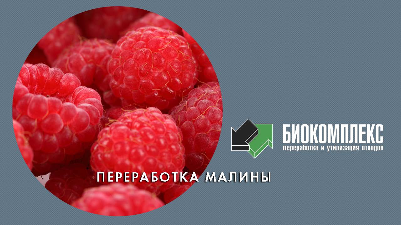 Переработка малины смотреть онлайн