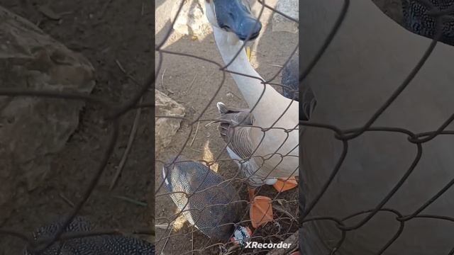 11 октября 2023 год