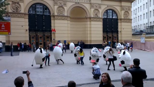 Кафе му-му Смоленская смотреть онлайн