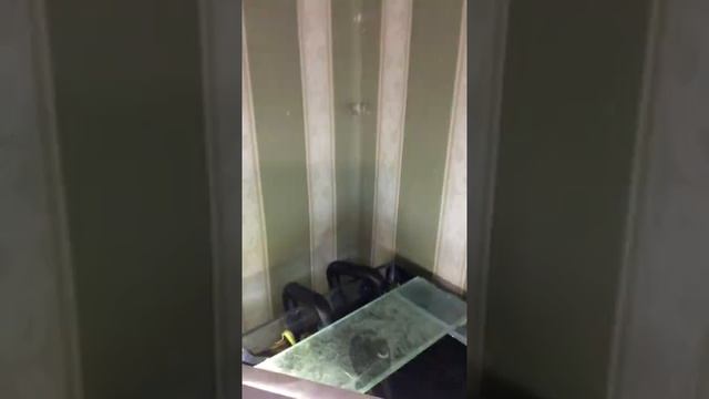 Внешний фильтр Aquael Ultramax 2000 и Tetra 1200 плюс, сравнение (часть 2) смотреть онлайн