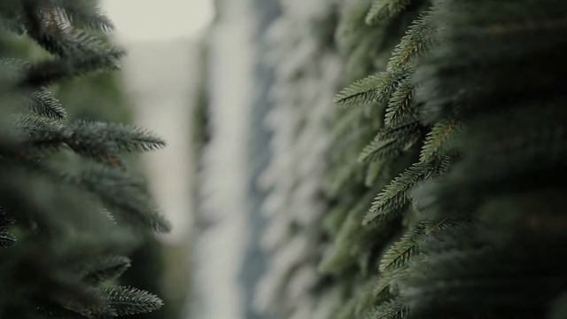 Выставка ElkaDe смотреть онлайн