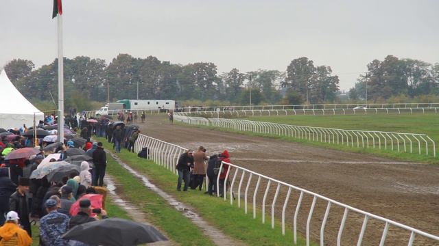 2-я Скачка .Приз в честь празднования 100-летия Государственности Республики Адыгея. Дистанция 1000 смотреть онлайн